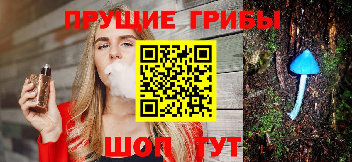 Псилоцибиновые грибы Psilocybe  Вход с VPN  Богородицк 