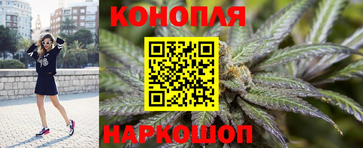 Каннабис индика Богородицк